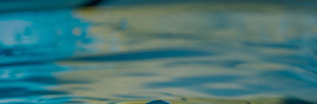 外贸知识资源站