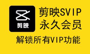 剪映电脑专业版永久SVIP会员-外贸技工
